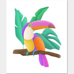 Toucan bird Posters and Art